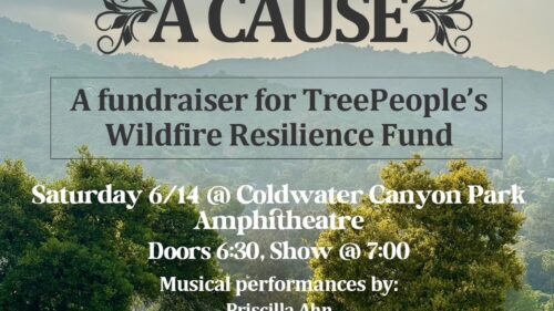 concert poster with nature landscape
