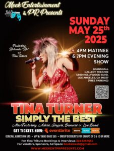 Tina Turner Live Tribute Show